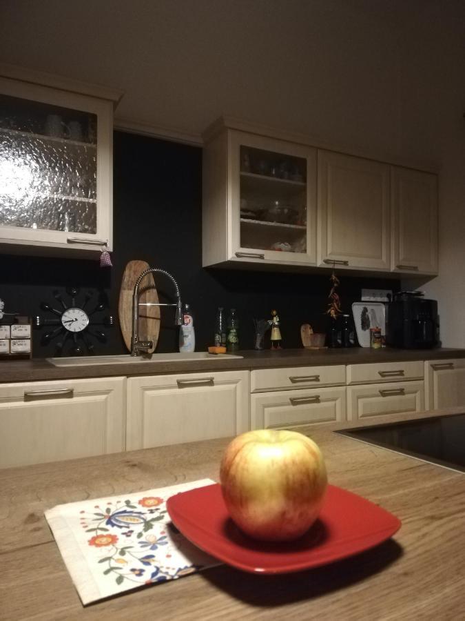 Apartman Oasis 日利纳 外观 照片